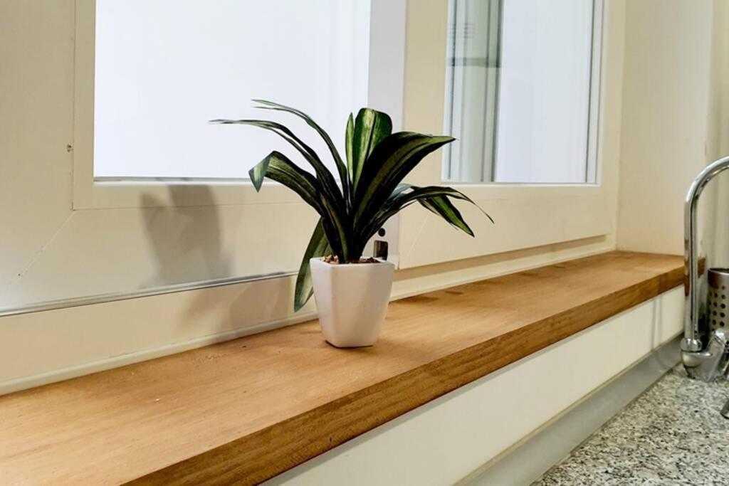 Apartamento de lujo en el absoluto centro BA Algeciras Exterior foto